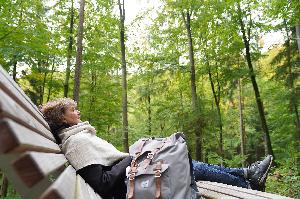 Eintauchen in die Heilkraft der NaturGeführte Waldbaden-Wanderung